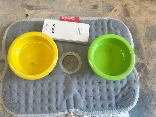 White Widow Twins — grow_setup, day 1