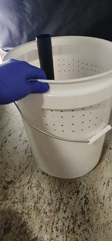 1st grow Dr. Nefario — vegetative, day 19