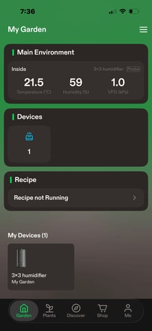 back to my roots.  — flower, day 50