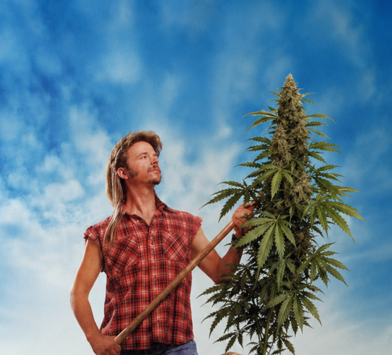 DirtySouthGrower