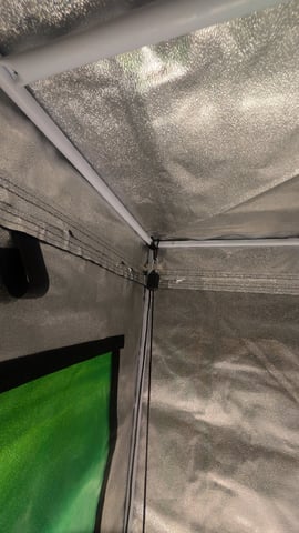 Grow 3 — grow_setup, day 1