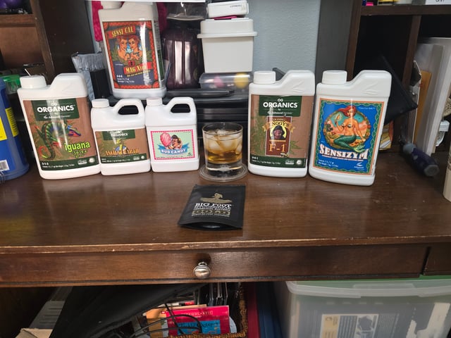 First grow — seedling_rooting, day 25