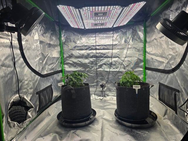 2nd grow round 2 — vegetative, day 27