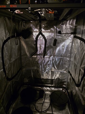 First Grow — grow_setup, day 1