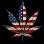 420EnergeticLighter