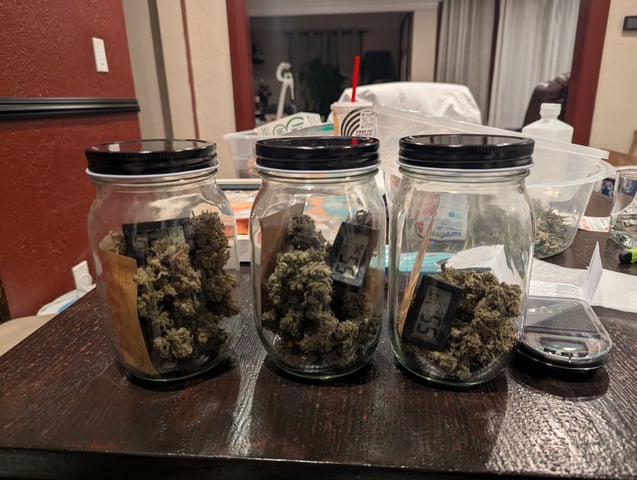 First Grow — done, day 81