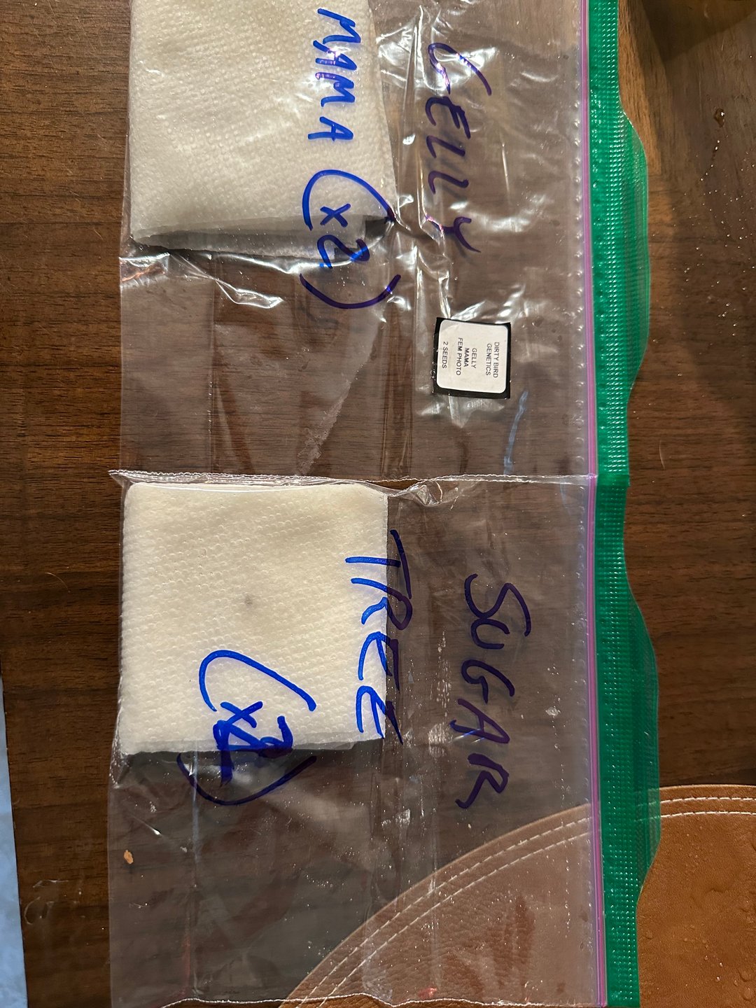 Gelly Mama and Sugar Tree