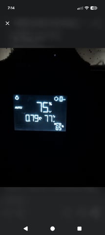 mephisto winter 2026 — seedling_rooting, day 1