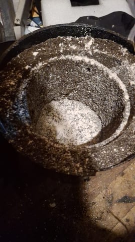 1st Grow - ROYAL MOBY (indoor)(photop.) — vegetative, day 69