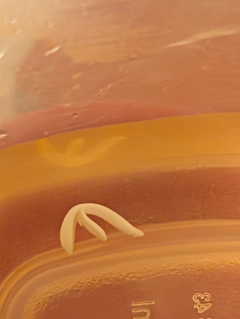 Guava, Guava, Gelato 