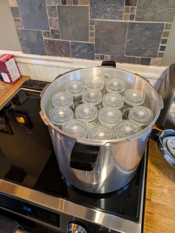 Plant in a test tube — grow_setup, day 1