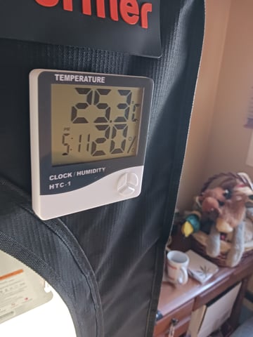 black gorilla feminized  — flower, day 30