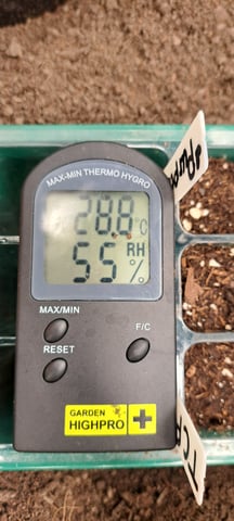 First Grow with the new setup  — seedling_rooting, day 3