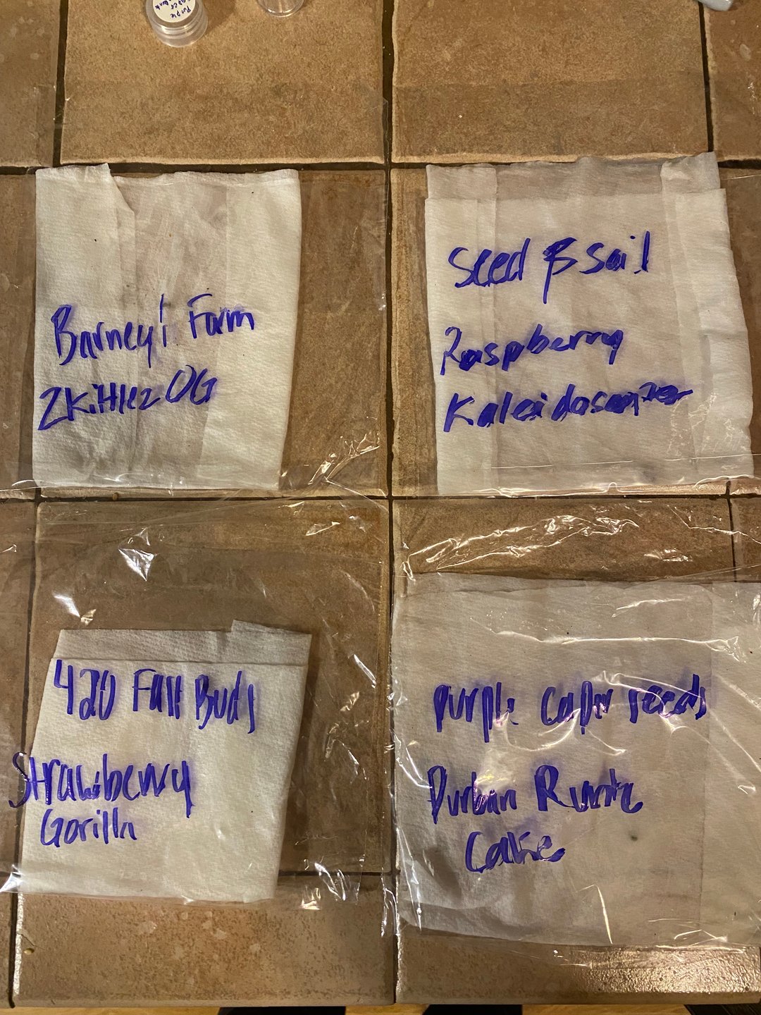 Auto Run #1 2025-2026