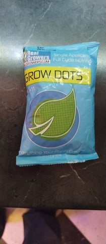 Skunk #1 — flower, day 81