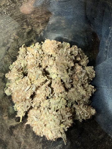  Trying to go big — done, day 180