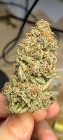 1st grow continued  — flower, day 58