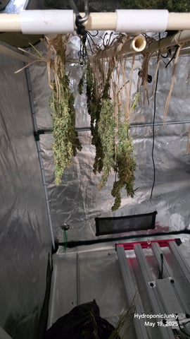 Grow #1 — harvest, day 124