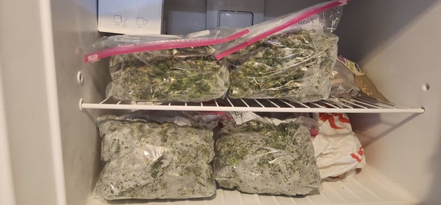 1st grow Dr. Nefario — flower, day 133