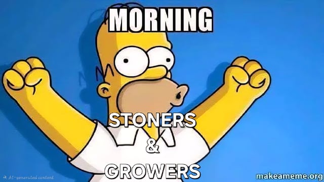 Dos Si Dos. Indica — vegetative, day 29