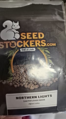 first plant — germination, day 1