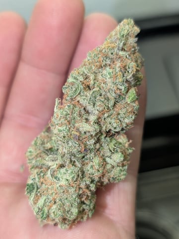 Golden Goat — done, day 55