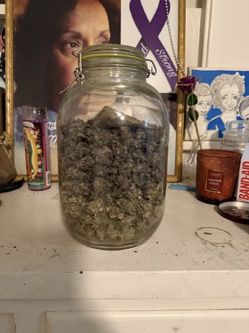  Trying to go big — done, day 180