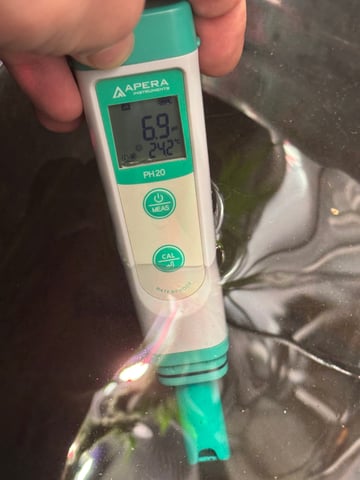 Permanent Marker, Gary Payton — flower, day 50