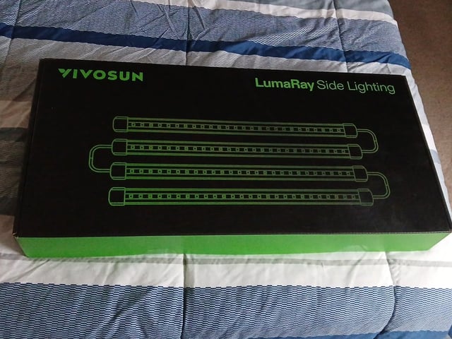 fruity pebbles, cap junky — vegetative, day 30