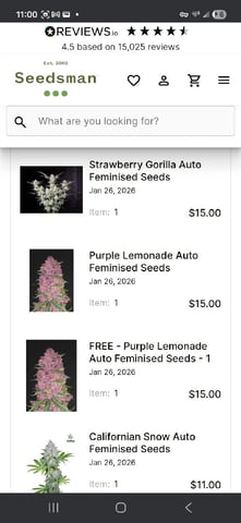 Seedman mix auto & seedman mix auto & GodFather OG — none, day 37