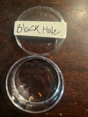 Black Hole S1 — germination, day 1