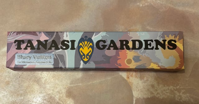 First magic mushroom grow — germination, day 1