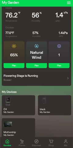 Perpetual Autoflower Mixed Grow #3 — flower, day 105