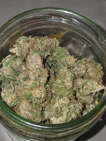 S&D  First Grow — harvest, day 96