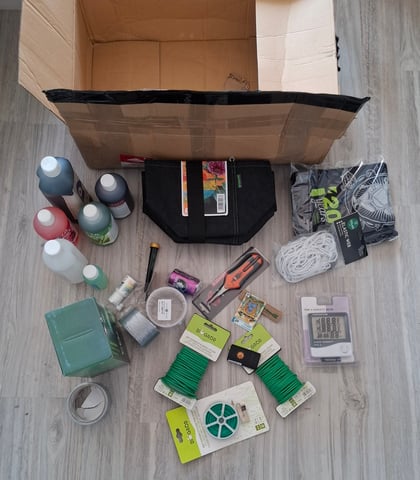 Bubblegum — vegetative, day 26