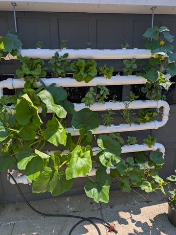 See what grows