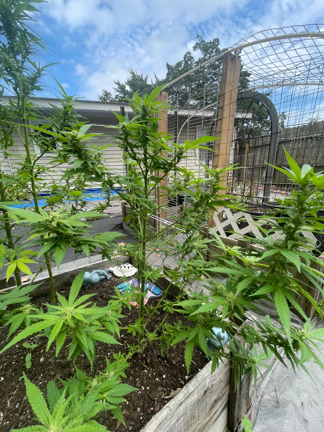 any help suggestions welcome