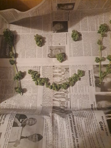 b1. — harvest, day 147