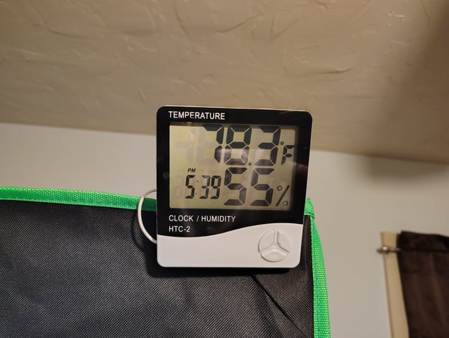 new 1 — seedling_rooting, day 6