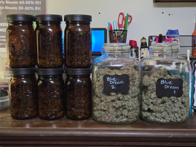 new bee's  — vegetative, day 64