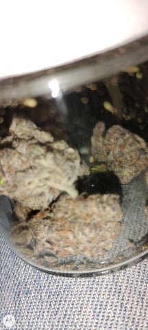My best First Grow — none, day 1
