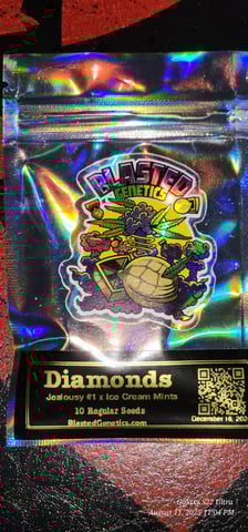 Time to play ▶️  — germination, day 2