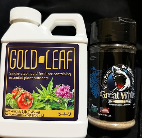 Am inside — vegetative, day 10