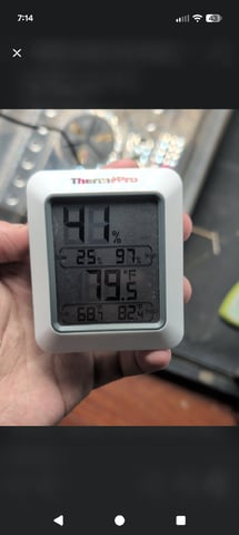 mephisto winter 2026 — seedling_rooting, day 1