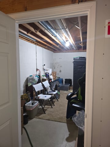 Purple Haze  — vegetative, day 40