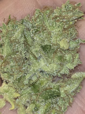 3rd Auto Grow — flower, day 207