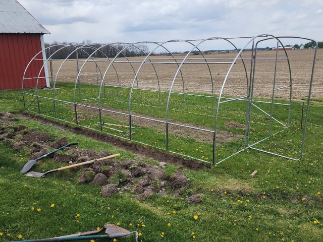 Outdoor 2026 — vegetative, day 2
