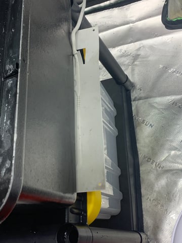 Six  — vegetative, day 43