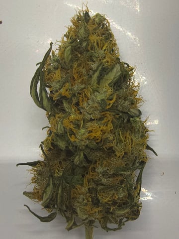 Purple Haze  — done, day 101