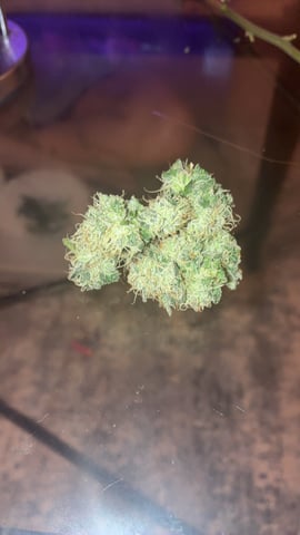 White Widow & Skittlez